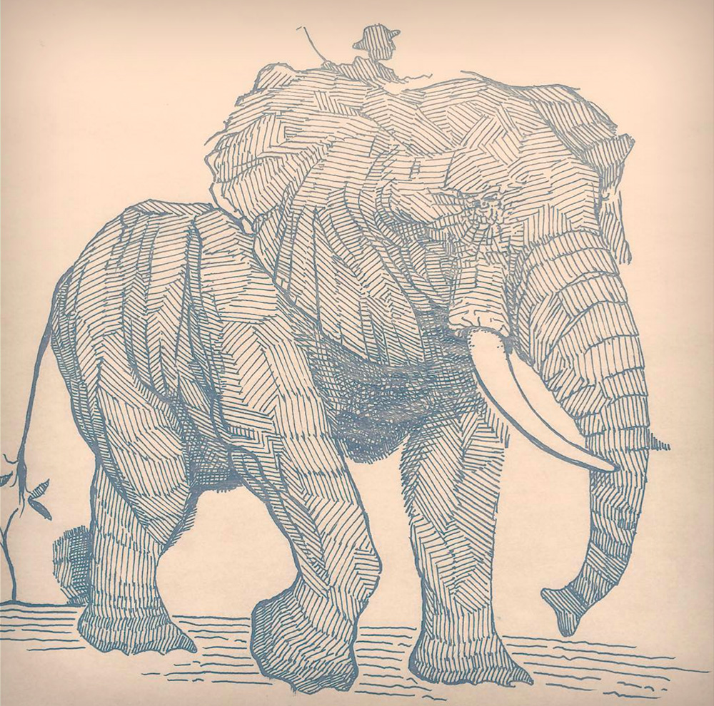 Sketch of Elephant Rider Art Print